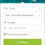 Image showing the canva download button