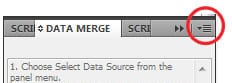 A screenshot of the Variable Data Printing (VDP) Data Merge Panel in InDesign Adobe software. The panel shows a list of fields that can be merged into a document, as well as options for how the fields should be merged. The panel is labeled "VDP Data Merge Panel" and is used to configure the data merge process for a VDP job. Variable Data Printing